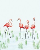 Roze flamingo