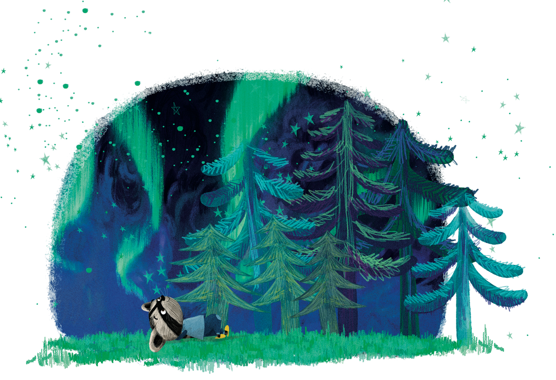 Aurore boréale illuminant le ciel nocturne, illustration d'un livre personnalisé Zebrabook