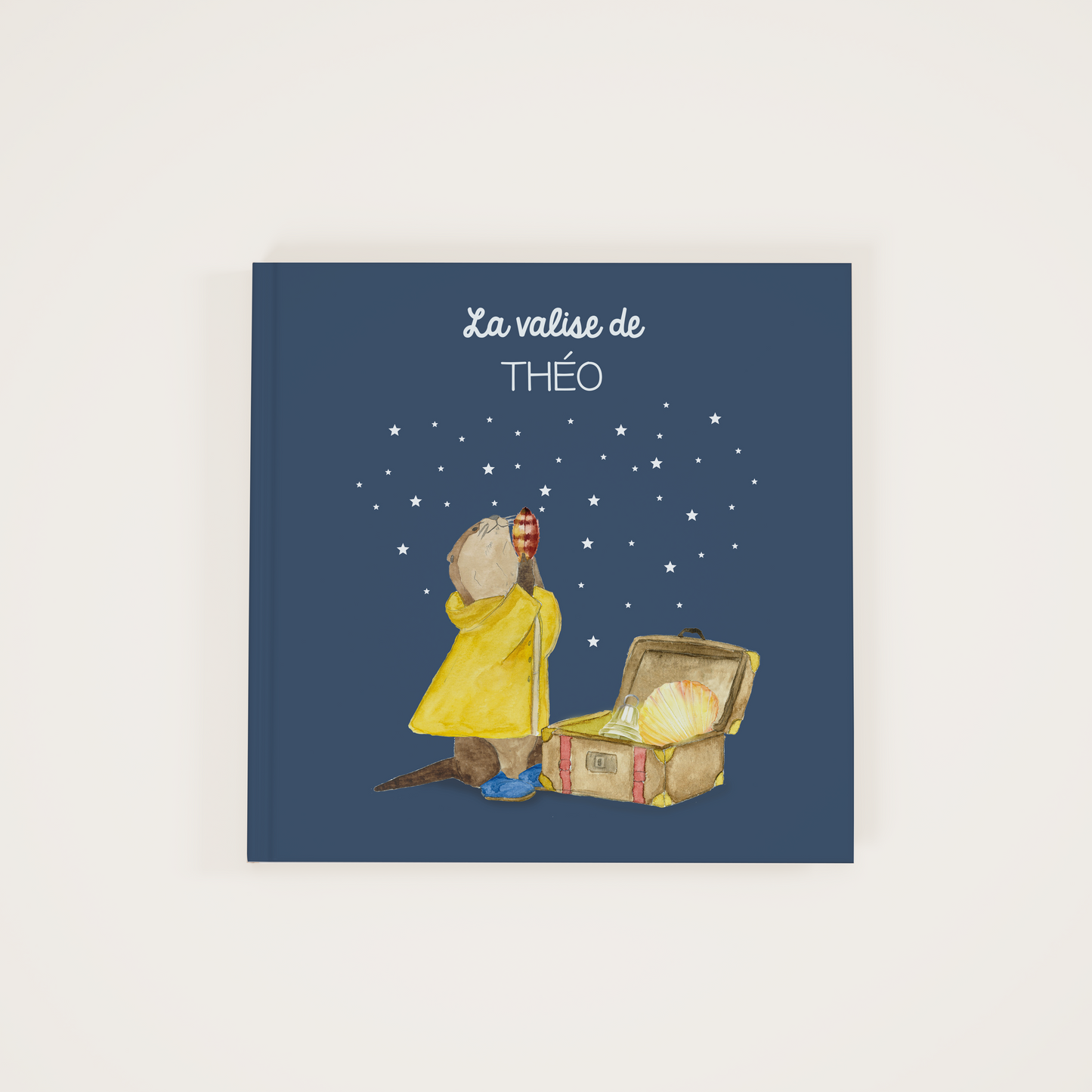 The suitcase - Zebrabook