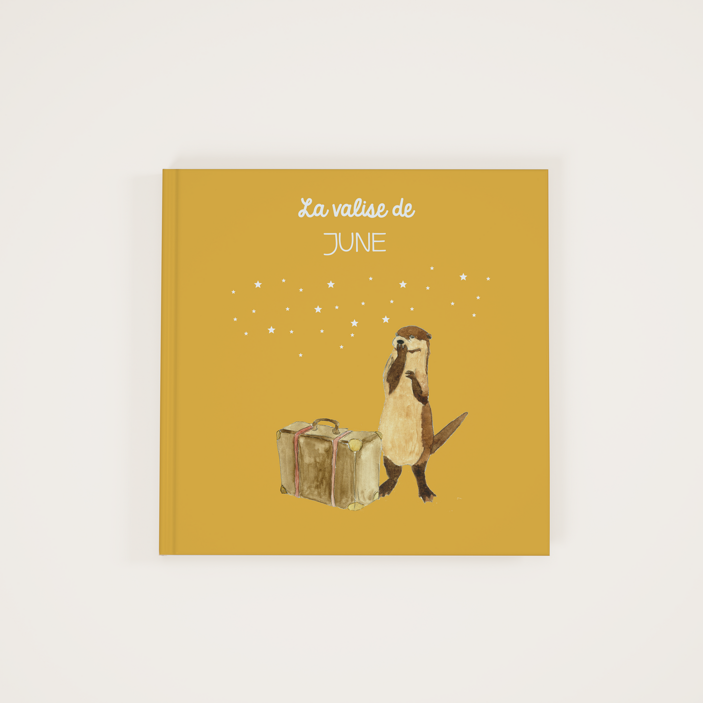 The suitcase - Zebrabook