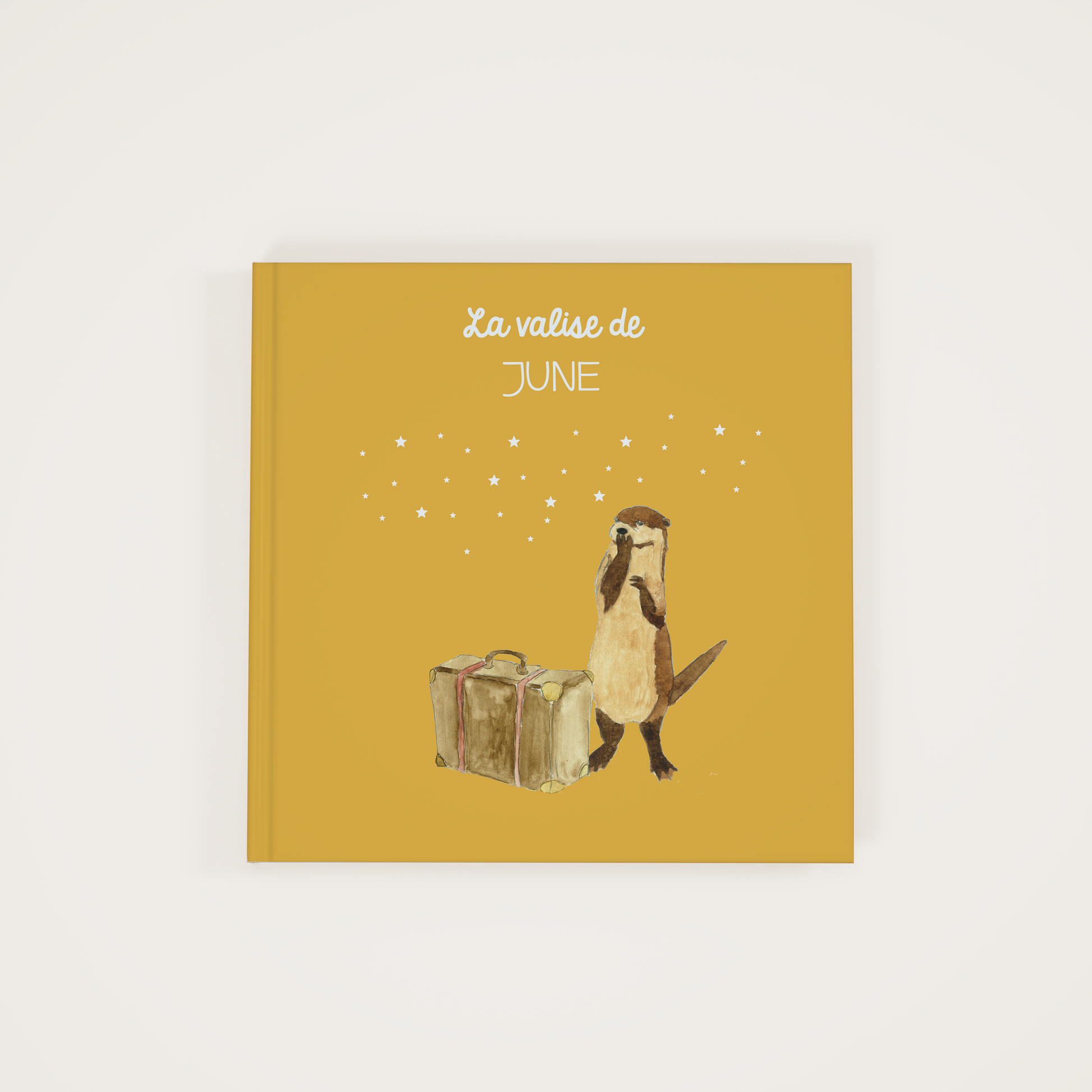 The suitcase - Zebrabook