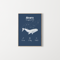 Affiche – Poster de naissance personnalisé – Zebrabook